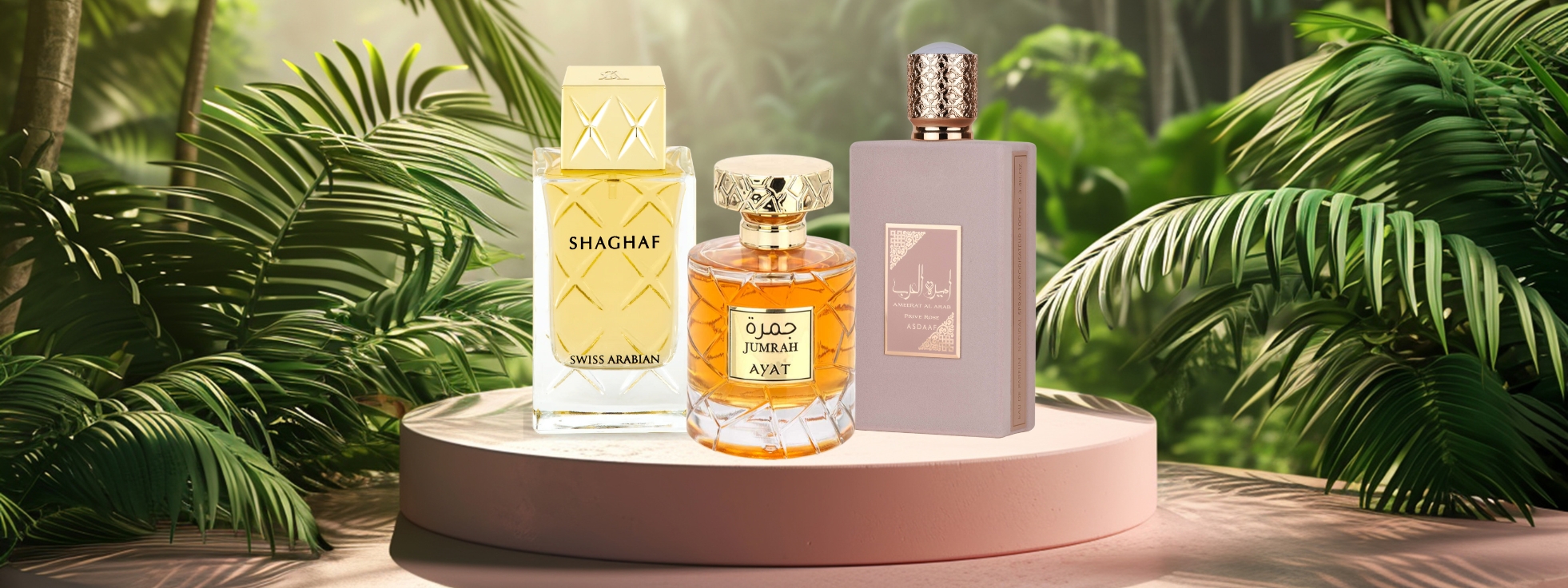 Best-Sellers - My Perfumes Home